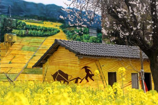 Farmhouses spring with color in rural Hubei