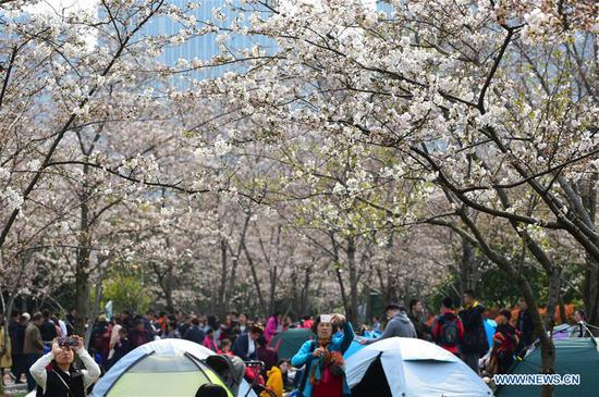 People view cherry blossoms at a park in Wuxi, east China's Jiangsu Province, March 23, 2019. (Xinhua/Huan Yueliang)