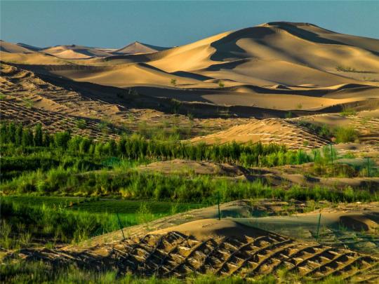 The use of sand barriers is helping transform hundreds of acres of northern China's Kubuqi Desert into green landscape. （Photo provided to chinadaily.com.cn）