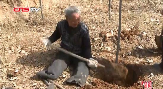 Double amputee veteran Ma Sanxiao plants a tree on a barren hill. (Photo/Video screenshot on CNSTV)