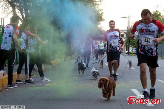 Dog & Human Race Monterrey promotes coexistence