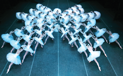 Shanghai Ballet's Swan Lake, featuring the world's largest ensemble of 48 performers dressed as swans, will be staged at New York's Lincoln Center in January 2020. (Photo provided to China Daily)