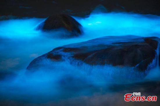 Algae bloom makes Fuzhou water glow