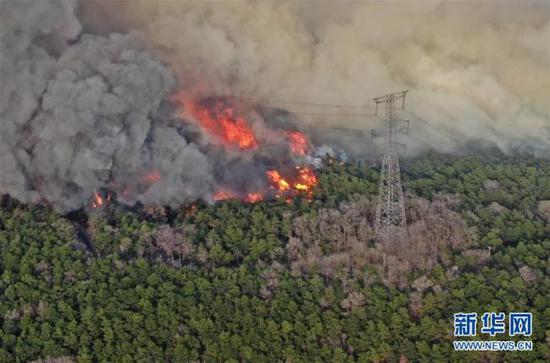 Photo taken on April 17, 2019 shows the fire site near Qipan Mountain in Shenyang, northeast China's Liaoning Province. [Photo: Xinhua]