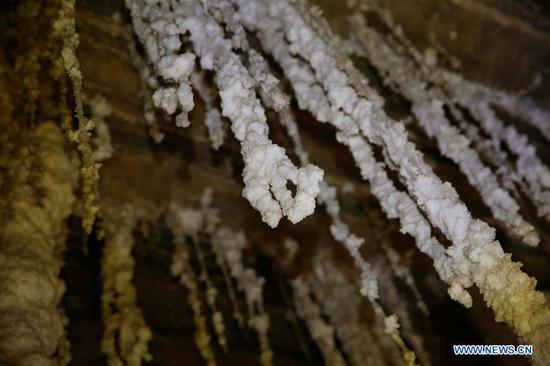 Israeli, European researchers discover world's deepest salt cave near Dead Sea