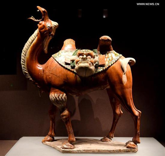 Photo taken on March 27, 2019 shows a tri-colored camel, a glazed pottery from An Pu's tomb of the Tang Dynasty, at Luoyang Museum in Luoyang, central China's Henan Province. (Xinhua/Li An)