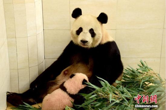 Ru Yi and his mother Mei Qian. (Chinanews Photo)