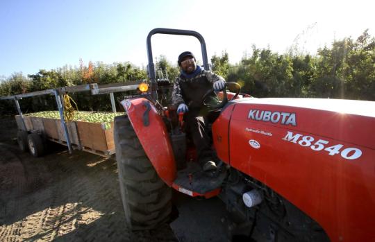 A farmer in the U.S. state of Washington transports apples, which are popular on China's e-commerce platforms, in this file photo. (Photo/Xinhua)