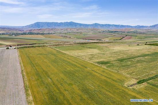 Aerial photo taken on May 21, 2019 shows a cotton field in Dangara, Tajikistan. (Xinhua/Zhang Ruoxuan)