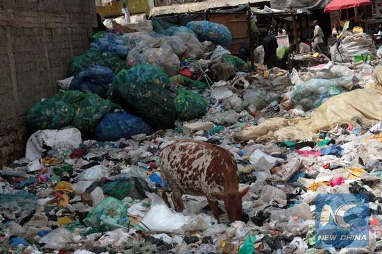 A cow feeds at a garbage site filled with plastic bags in Nairobi, capital of Kenya, Aug. 24, 2017. . (Xinhua/John Okoyo)