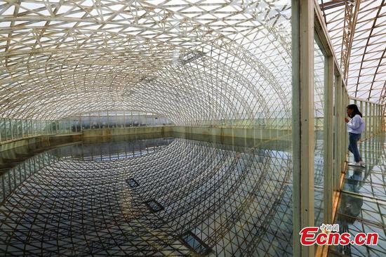 Perhaps world's largest vinegar pool in Shanxi