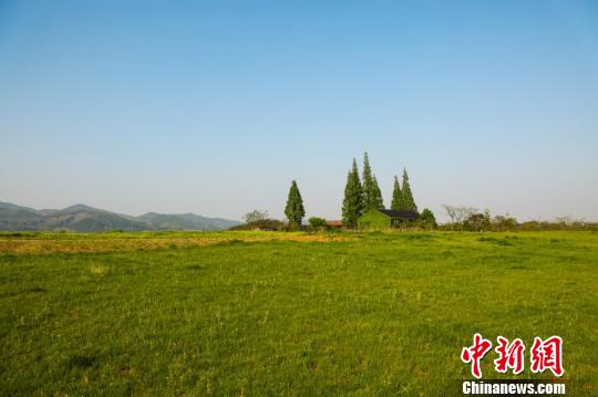 The Archaeological Ruins of Liangzhu City in Hanghzou, Zhejiang Province. (Photo/China News Service)