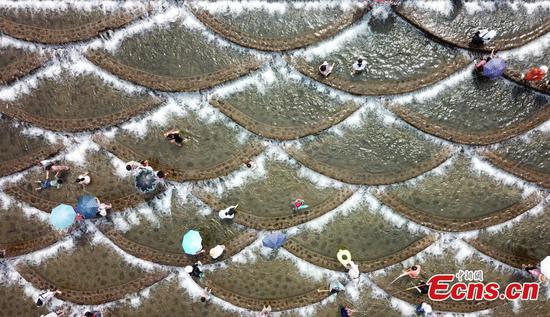 Visitors flock to fish scale-shaped water barriers in Hangzhou