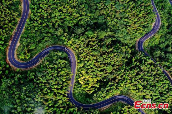 Drone photo reveals stunning beauty of mountain road