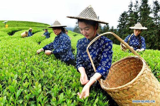 China's agriculture sector sees rapid growth over past 70 years