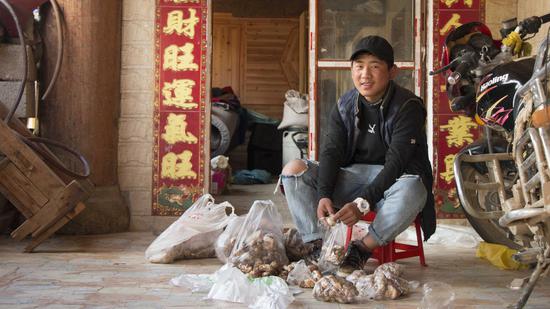 Lozang Choden packs fresh matsutake for sale. (Photo/CCGTN)