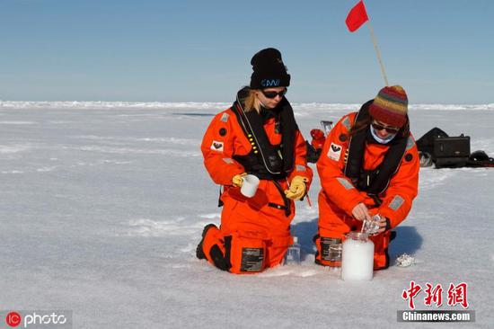 Scientists from the Alfred-Wegener-Institute collect snow samples in the Arctic. (Photo/IC)