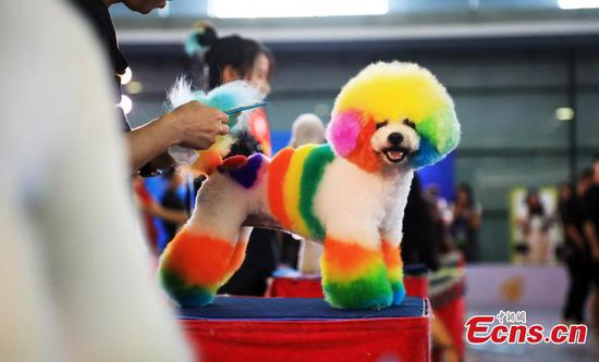 1,600 exhibitors at 22nd Pet Fair Asia