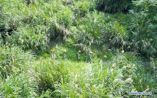 Aerial photo taken on Aug. 18, 2019 shows forest rangers patrolling at high temperatures on the mountain in Shicheng County, east China's Jiangxi Province. (Xinhua/Chen Yehua)