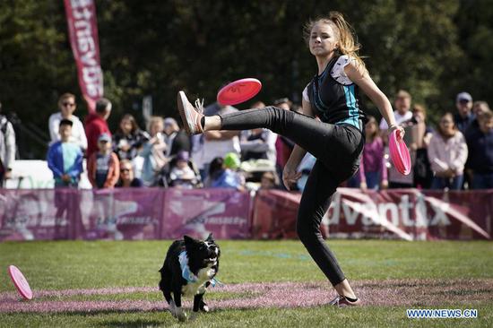 Flying Dogs competition held in Warsaw, Poland