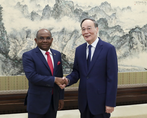 Chinese Vice President Wang Qishan met with Maldivian Foreign Minister Abdulla Shahid in Beijing, Sept. 19, 2019. (Xinhua)
