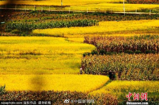 China marks second farmers' harvest festival