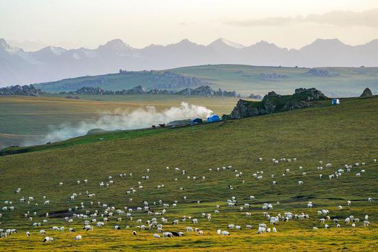 A view of the Bayan Bulag grassland in northwest China's Xinjiang Uygur Autonomous Region, Aug. 20, 2018. (Xinhua/Hu Huhu)