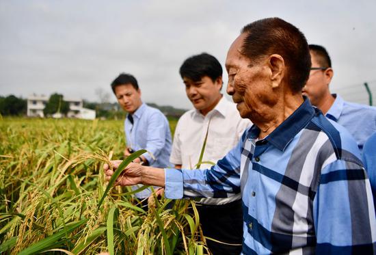 Yuan Longping, known as China's 