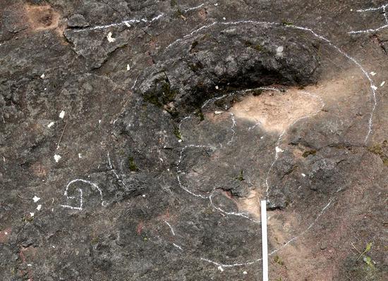 100-mln-year-old dinosaur footprints found in Zhejiang