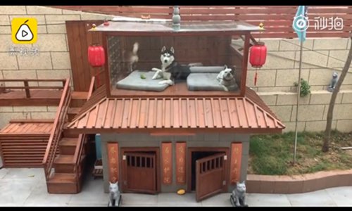 The two-floor villa for dogs. (Photo/Screenshot of video posted by Pear Video)