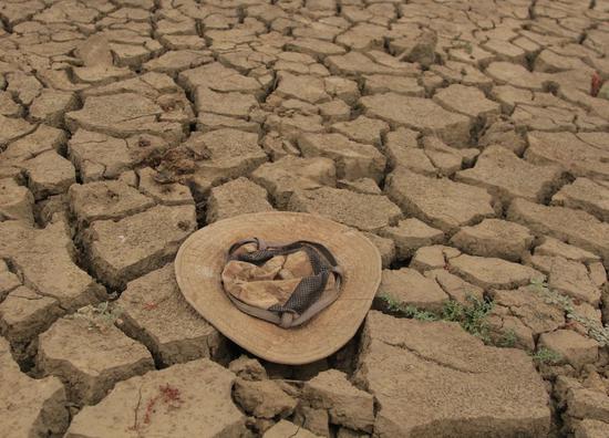 Photo taken on Oct. 11, 2019 shows the drought land in Mt. Darwin, Zimbabwe. (Photo by Shaun Jusa/Xinhua)