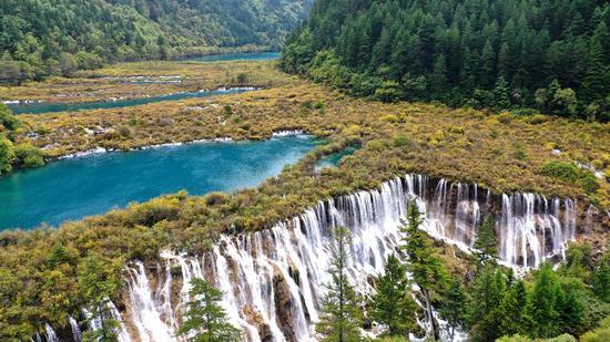 Aerial photo taken on Sept. 23, 2019 shows a view of Nuorilang Waterfall in the Jiuzhaigou National Park in southwest China's Sichuan Province. (Photo by Wang Xi/Xinhua)