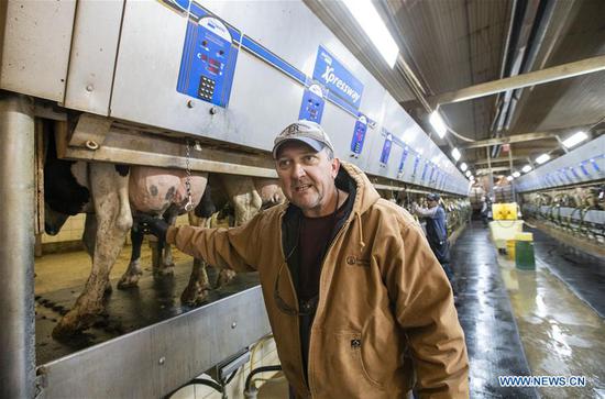 Kelly D. Cunningham, managing partner of Milk Unlimited Dairy Farms, introduces the milking process at the dairy operation in Atlantic, Iowa, the United States, Oct. 16, 2019. (Xinhua/Wang Ying)