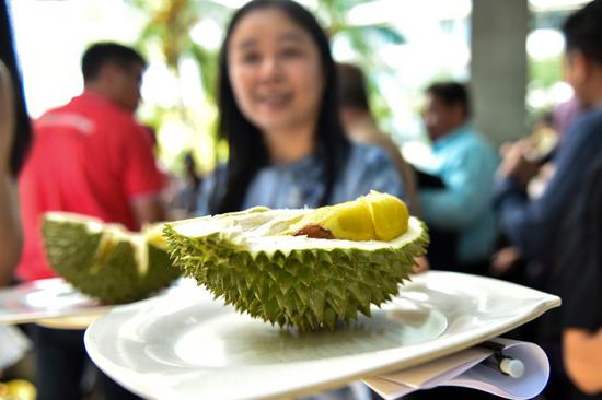 Durians are served at the flag-off ceremony of the first batch of Malaysian whole frozen durian to China, in Putrajaya, Malaysia, June 17, 2019. (Xinhua/Chong Voon Chung)