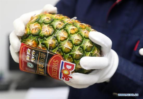 A worker checks the outlook of a pineapple at a distribution center of the Dole (Shanghai) Fruits and Vegetables Trading Co., LTD in Shanghai, east China, Oct. 28, 2019. The company is prepared to take part in the upcoming China International Import Expo (CIIE), which will run from Nov. 5-10 in Shanghai. (Xinhua/Ding Ting)