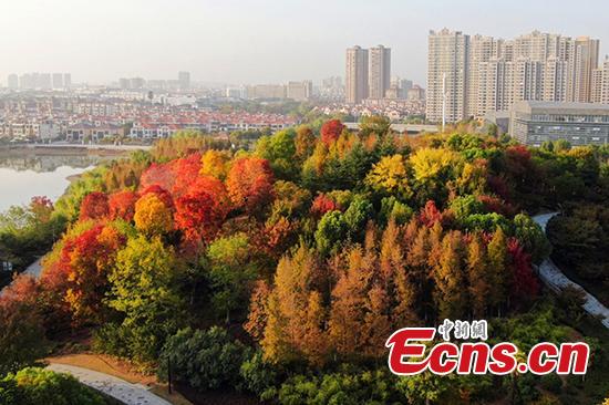 Autumn turns park into colorful palette