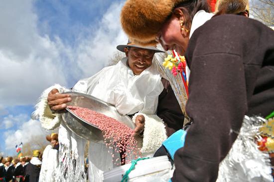 Residents attend a spring plowing ceremony in Shannan City, southwest China's Tibet Autonomous Region, March 16, 2019. (Xinhua/Li Xin)