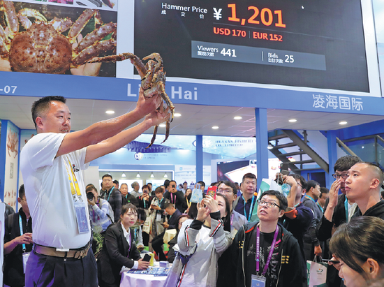 A king crab from Russia sells for 1,201 yuan ($172) at an auction during the second China International Import Expo in Shanghai on Thursday. (Photo/China Daily)