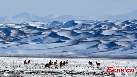 Scenery of Altun Mountains National Nature Reserve in Xinjiang