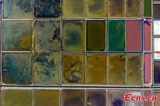 Aerial view of salt fields in Weihai, China's Shandong