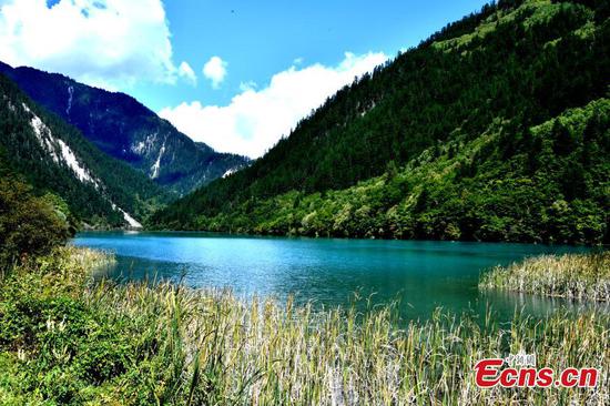 The beautiful landscape of the Jiuzhaigou National Park in Southwest China’s Sichuan Province, Sept. 25, 2019.(Photo/ China News Service)