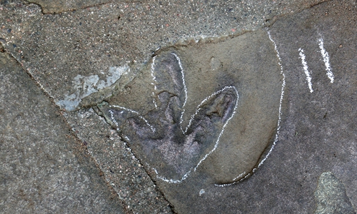 Paleontologists on Friday announce the discovery of a dinosaur footprint site that dates back to the Jurassic period in Chengde Mountain Resort, North China’s Hebei Province. (Photo/Courtesy of Xing Lida)