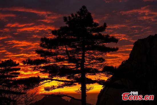 Stunning scenery of flaming cloud in Mount Huangshan