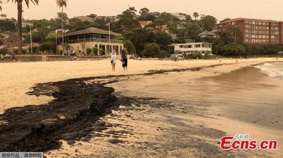 Australia bushfires: Ash washes up on New South Wales beach