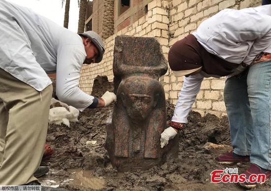 Egypt unveils 'rare' ancient pharaoh bust