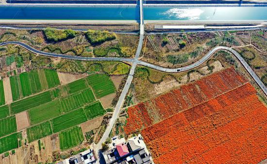The canal of the south-to-north water diversion project in Handan of north China's Hebei Province, Nov. 14, 2019. (Xinhua/Mu Yu)