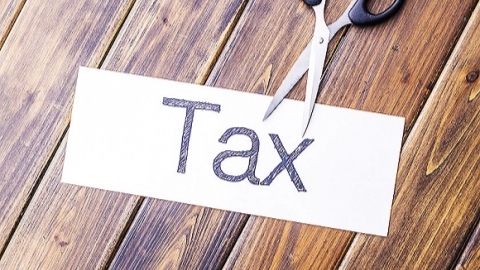 More efforts urged to curb arbitrary taxes
