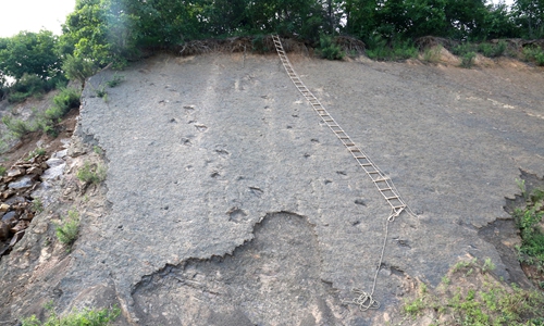 Scientists unearth dinosaur tracks in Northeast China's Heilongjiang Province. At an angle of nearly 70 degrees, the site's steepness presents research difficulties. (Photo: Courtesy of Xing Lida)