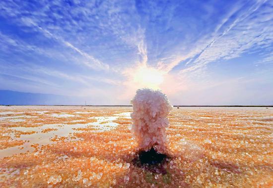Coral-shaped 'flowers' grow out of Yuncheng Salt Lake surface