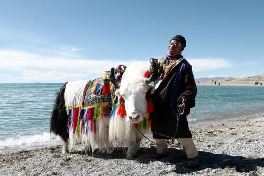 A herdsman awaits tourists at Nam Co Lake in Tibet autonomous region, Southwest China, Nov。 23, 2019. （Photo/Xinhua）